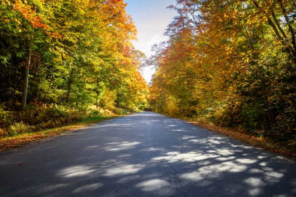 Blacktop Replacement in Montgomery